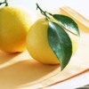 Lemon-Wallpaper-fruit-6334028-1024-768